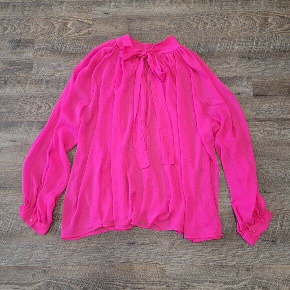 ZARA | Blouse Tie Detail Sheer Top | Sz. L - Picture 9 of 9